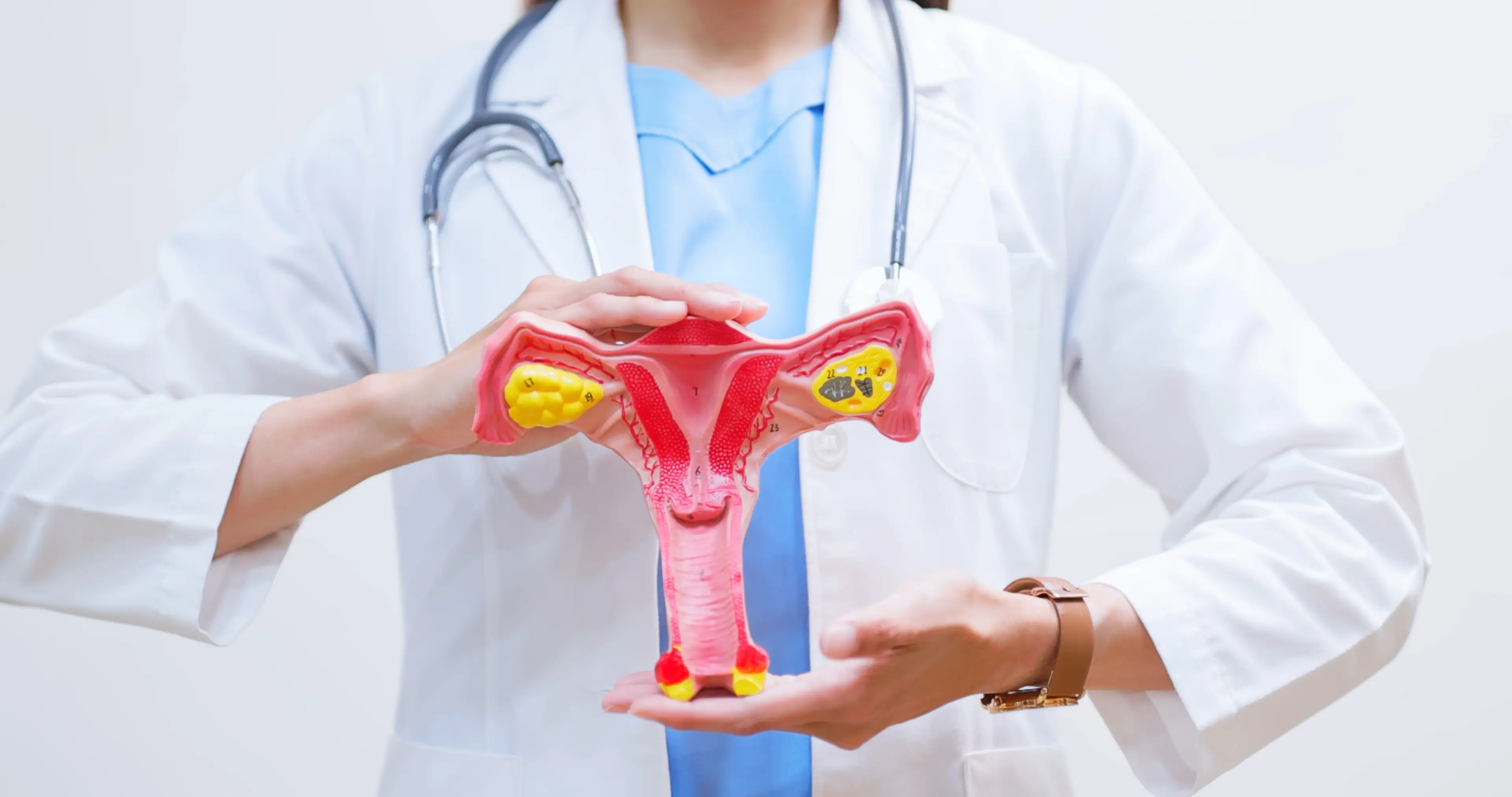 The vagina organ changes throughout life due to hormonal changes. (Getty Stock)