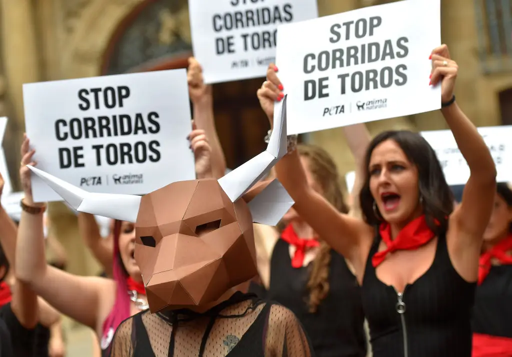 Calls have been made globally to put an end to bullfighting (ANDER GILLENEA/AFP via Getty Images)