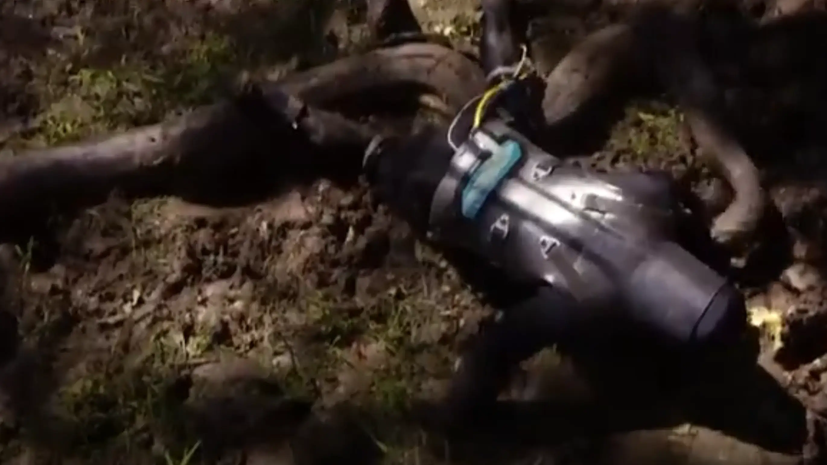 Discovery Channel
