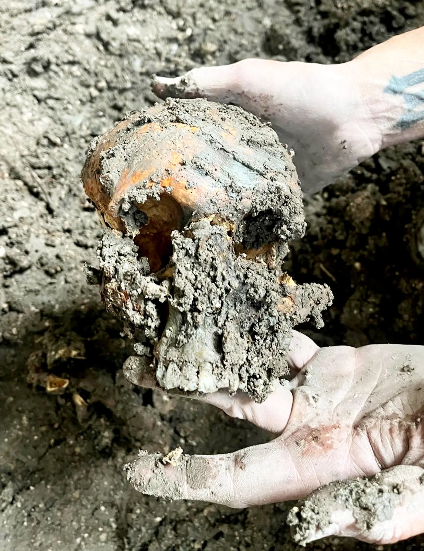 They didn't expect to find 83 dead bodies under the floorboards (SWNS)