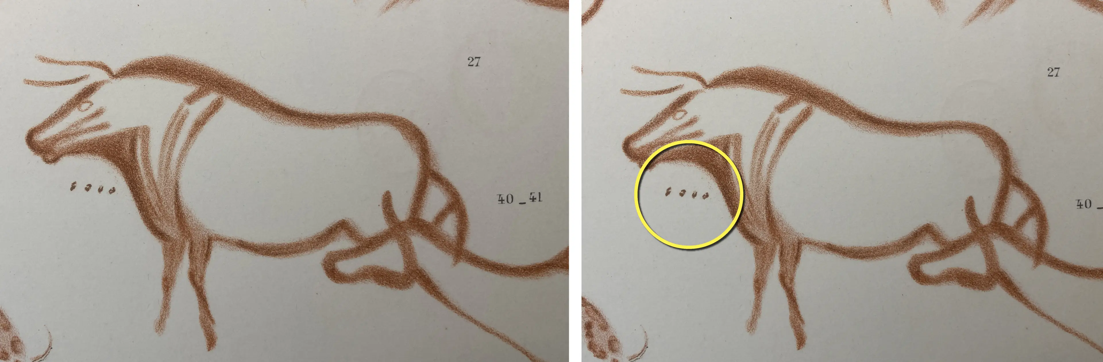 His discovery has been hailed as ‘fascinating’ by one expert.