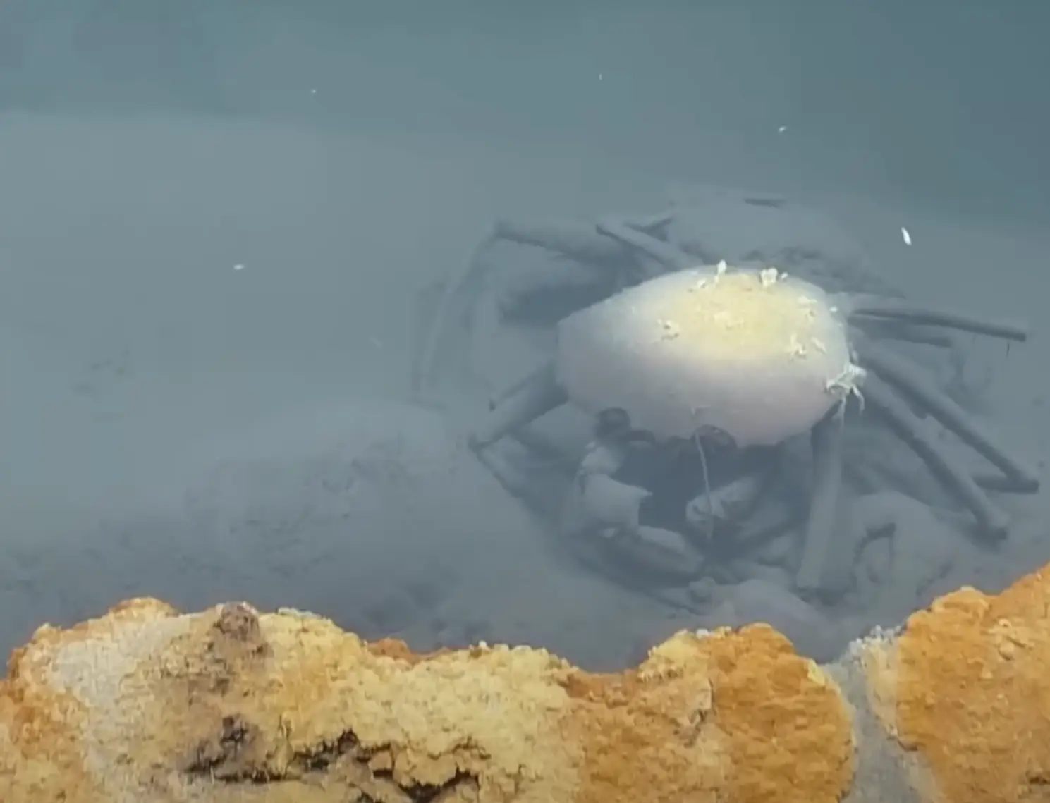 Never should have come here (YouTube/EVNautilus)