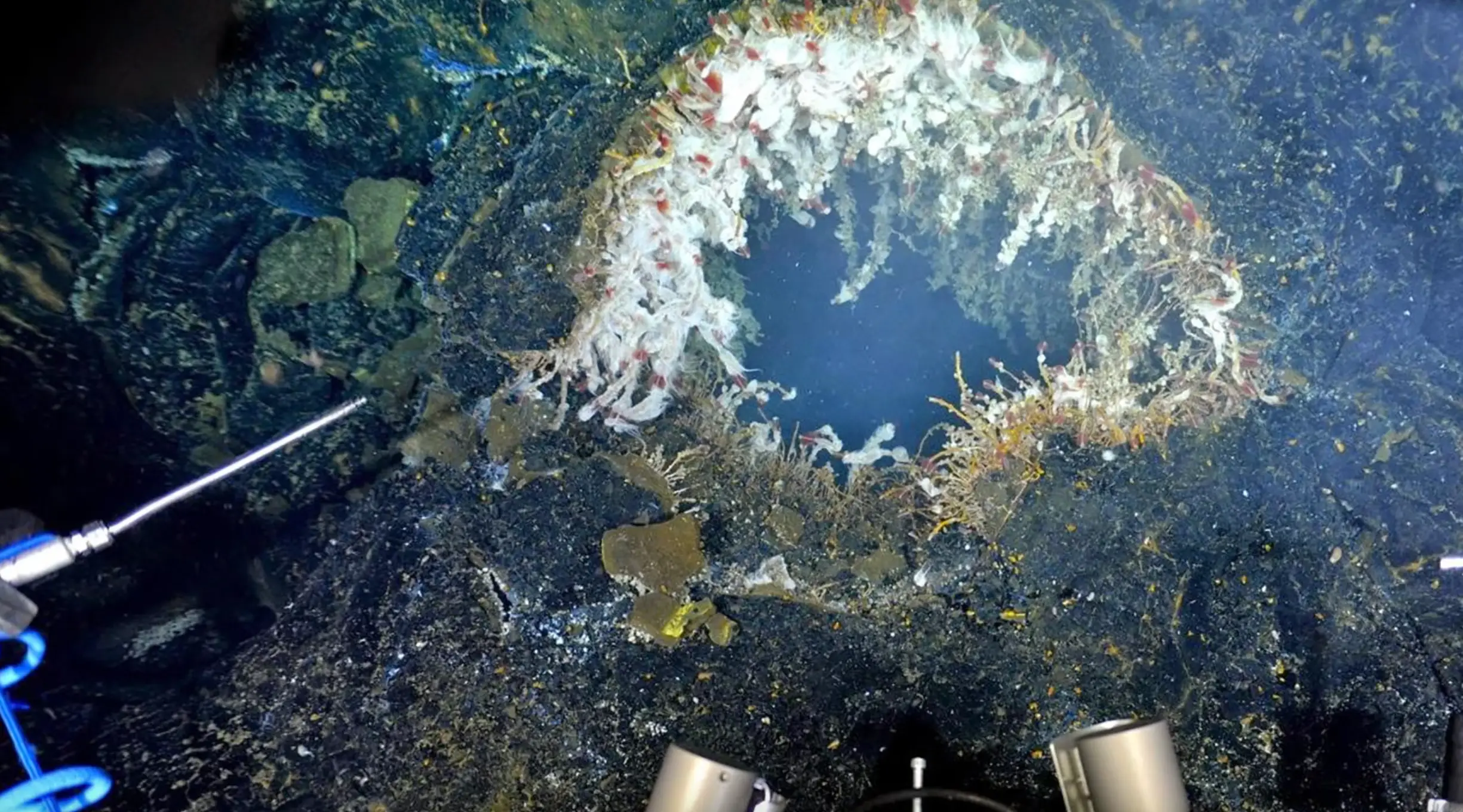 The underwater volcano could cause an earthquake (Schmidt Ocean Institute)