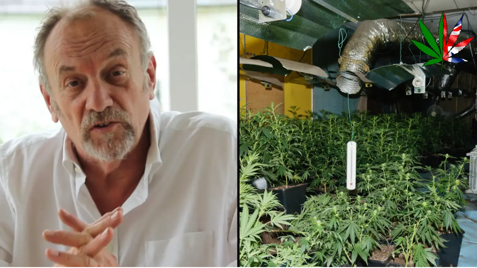 Campaigners call for ‘cowards’ in government to support weed legalisation and end its 'war on drugs'