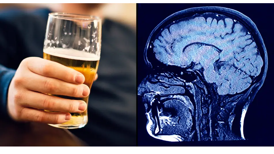 Credit: Getty Stock Image