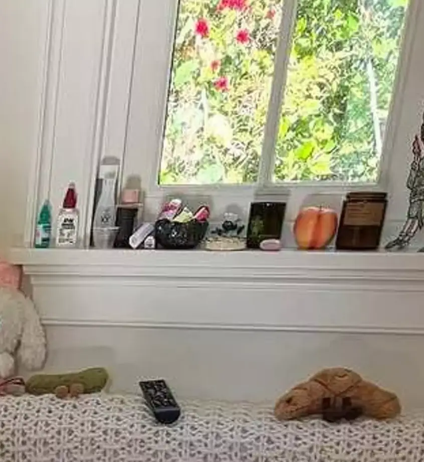 Fans were distracted by the 'X-rated' item (Instagram/@selenagomez)