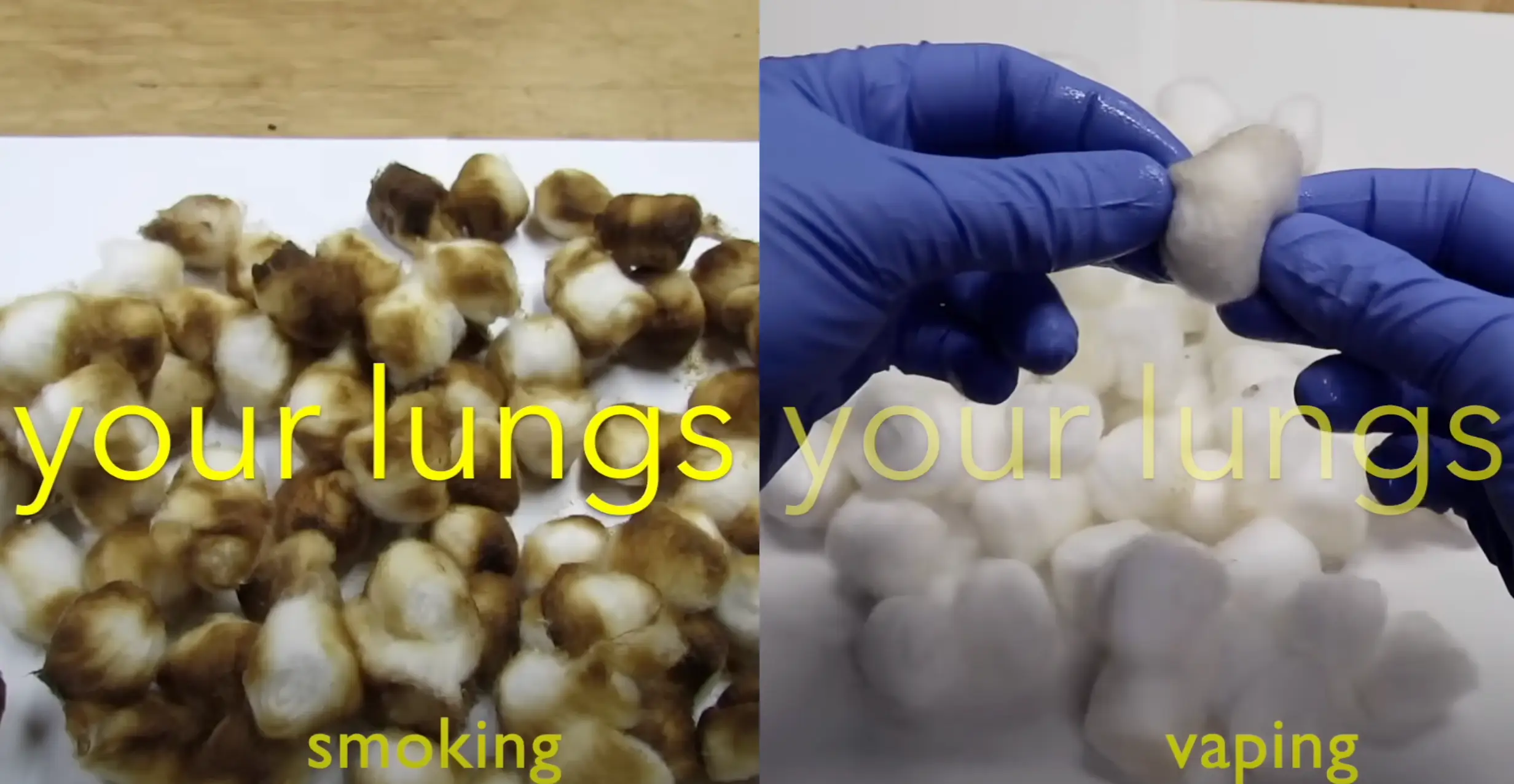 The difference between the two habits opened a lot of eyes (YouTube/Chris Notap)