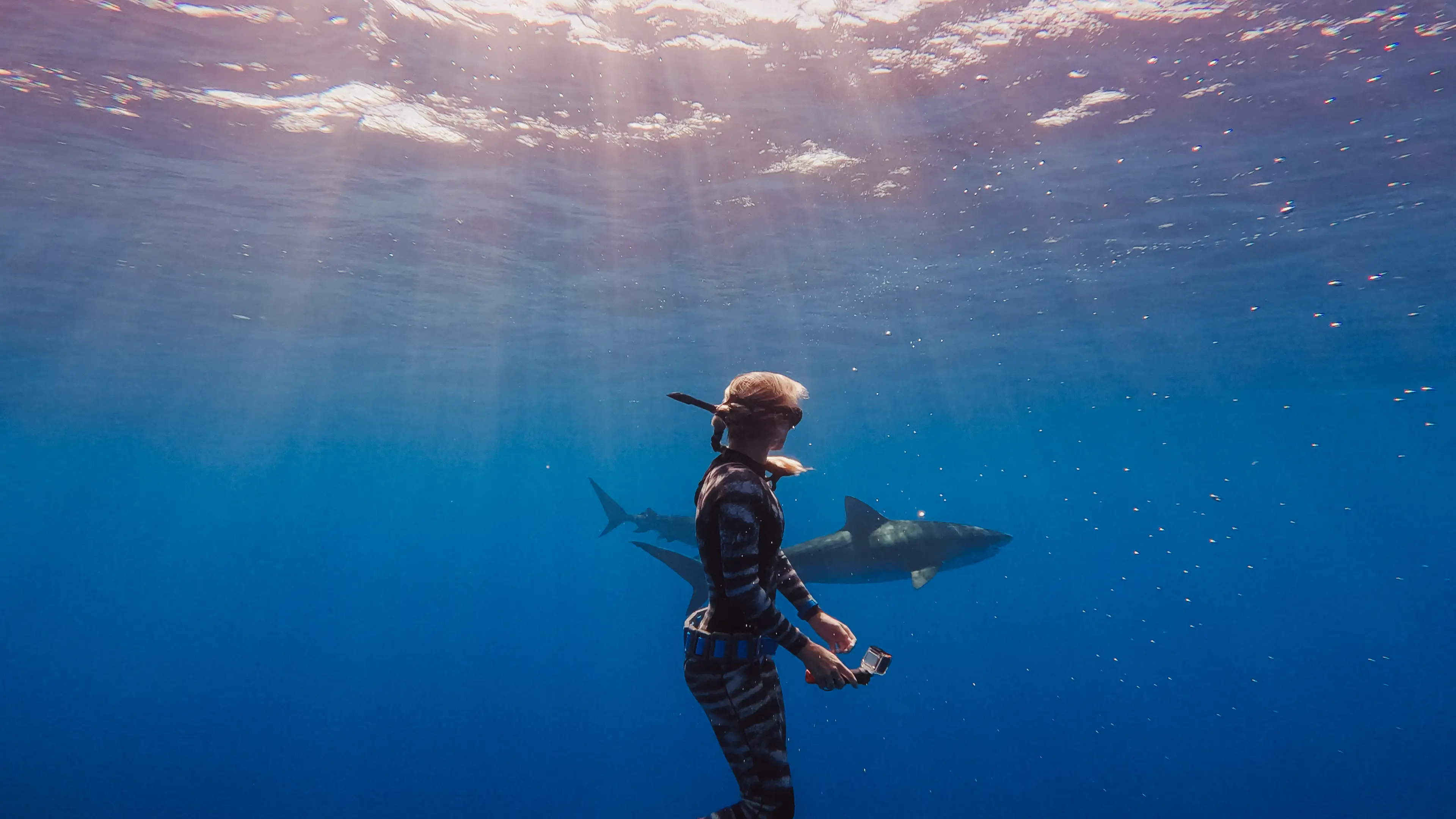 Ocean has been swimming with sharks since she was eight years old (Juan Oliphant)
