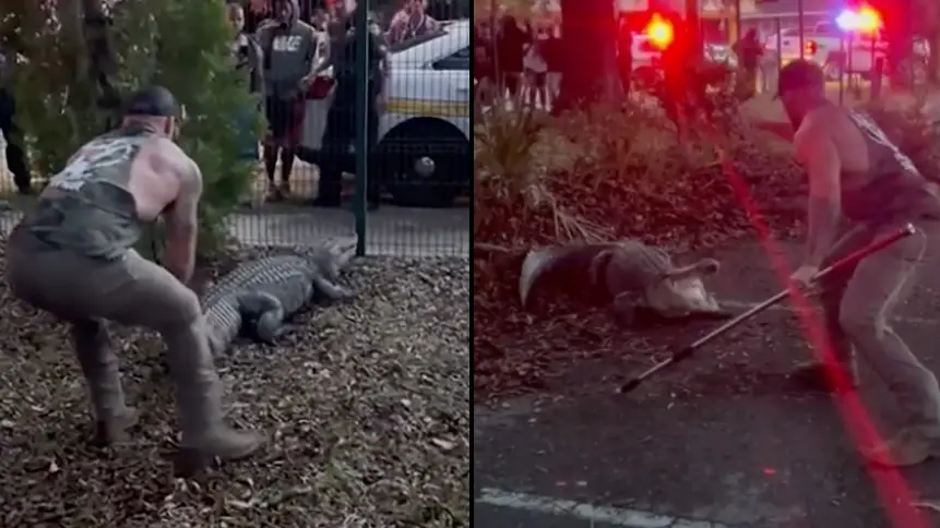 Bluecollar_brawler/@Instagram