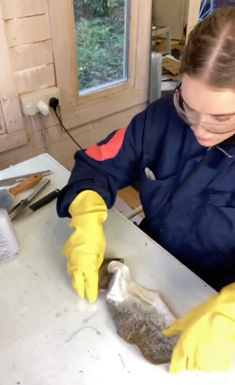 Everyone had the same question when fashion designer Isabelle showed TikTok how she makes 'fish leather.'