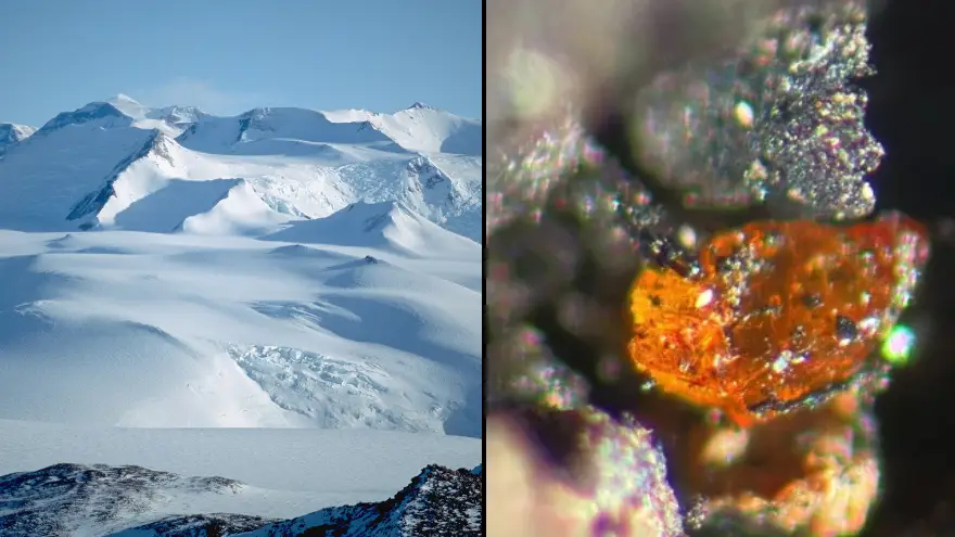 90 million-year-old discovery could change everything we thought we knew about Antarctica