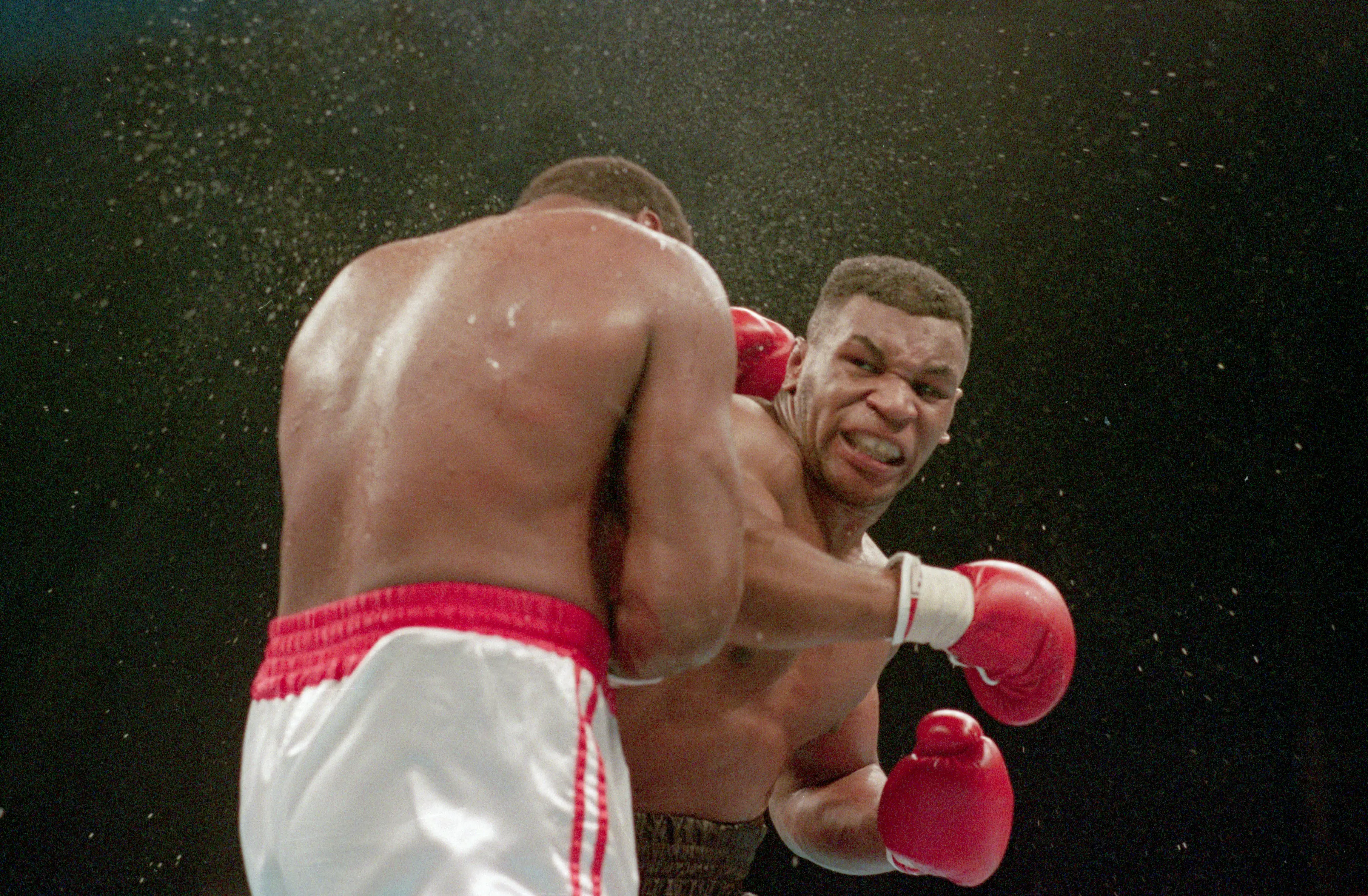 Mike Tyson lands the knockout punch to the jaw of challenger Larry Holmes during fourth round of the World Heavyweight Championship.