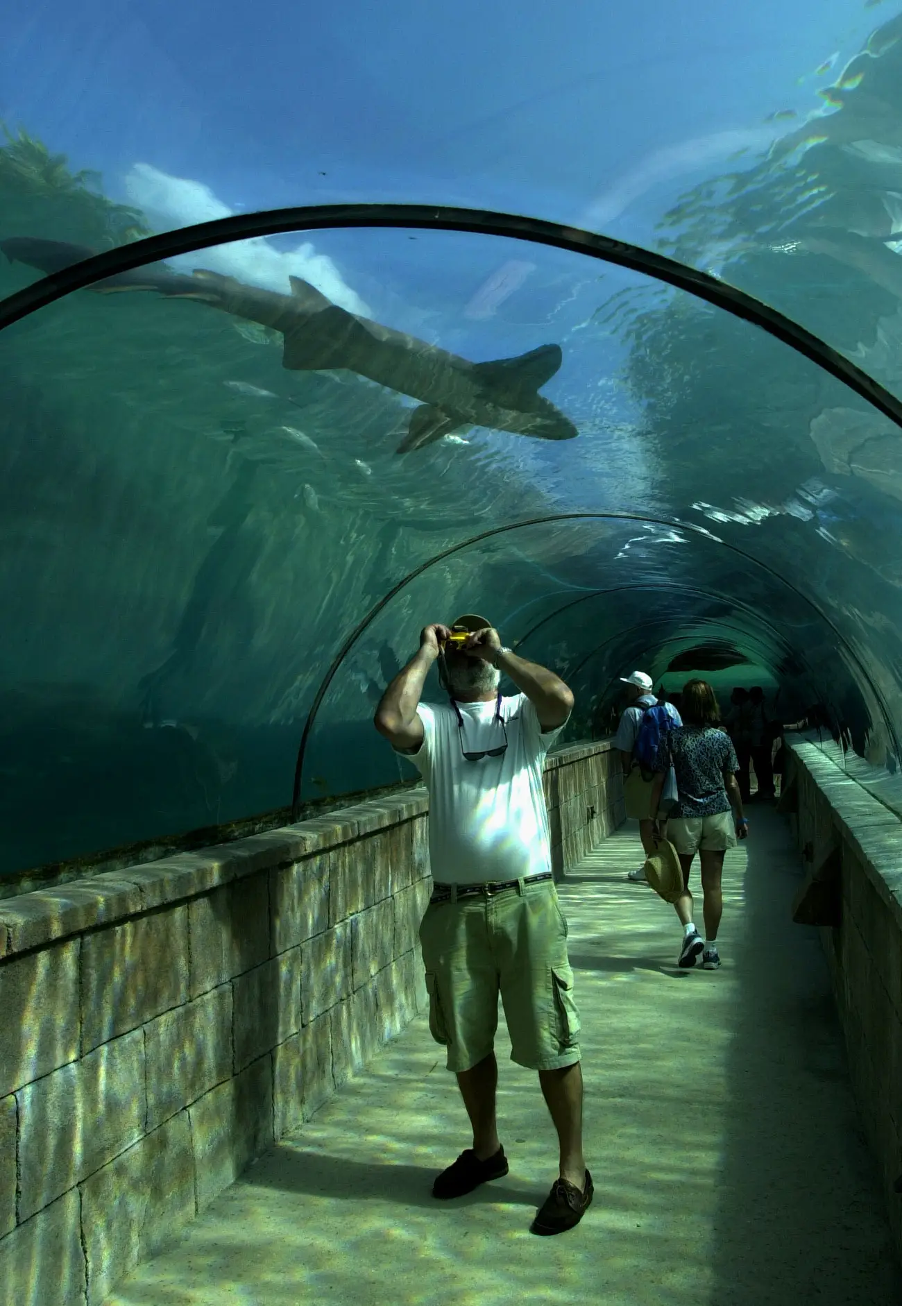 The boy was rushed to hospital and was described as being in a stable condition (stock image).