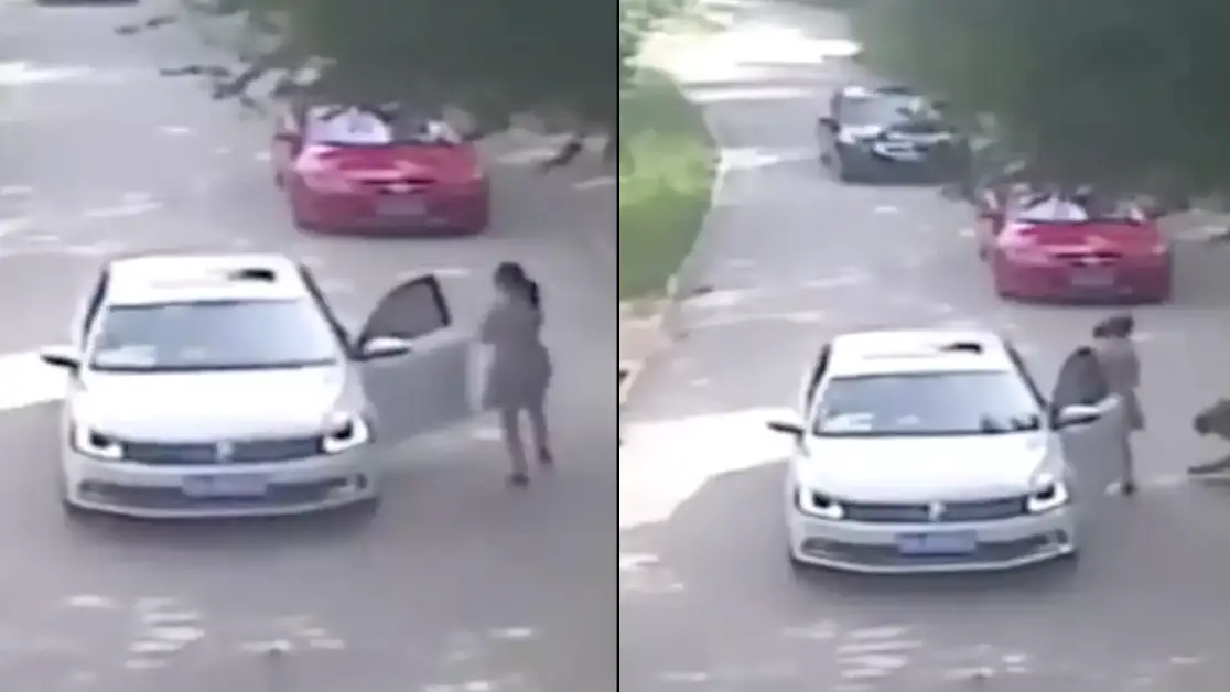 Badaling Wildlife World