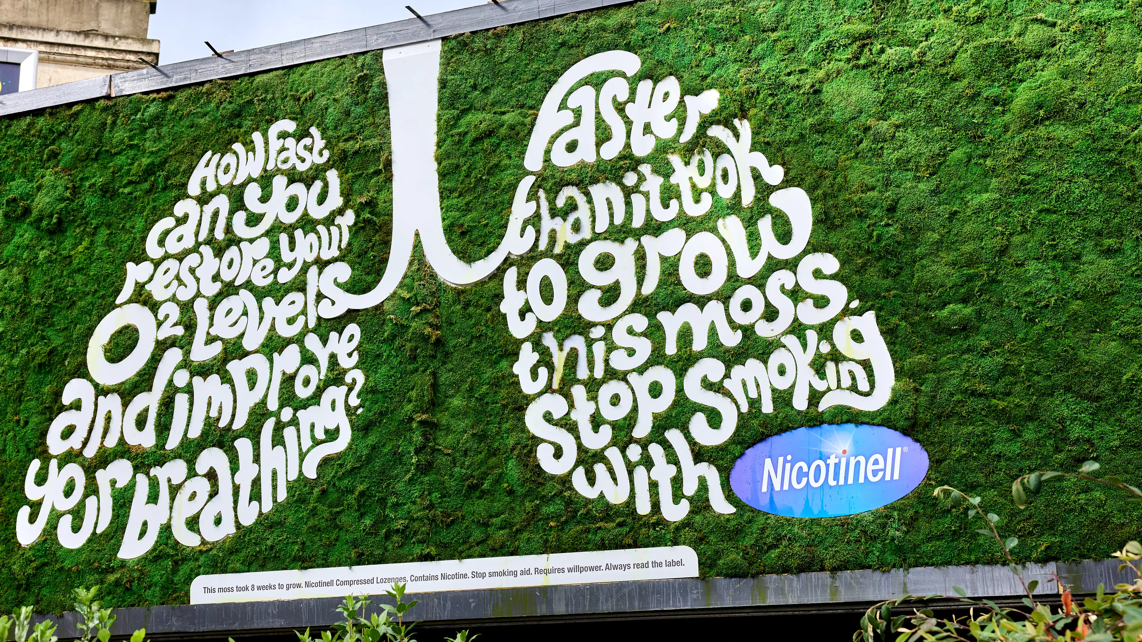 Nicotinell moss billboard shows how quickly your lung function improves after quitting smoking