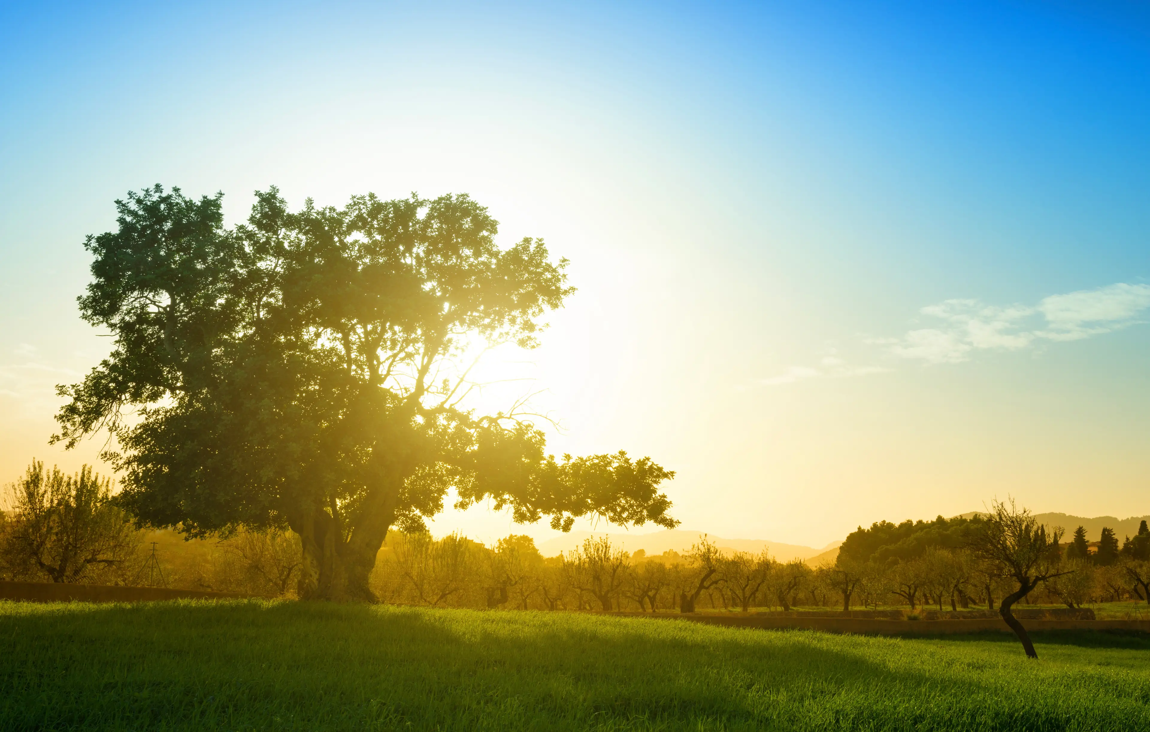 The 41-year-old claims she saw the same thing both times she lost consciousness and stopped breathing (Getty Stock Photo)
