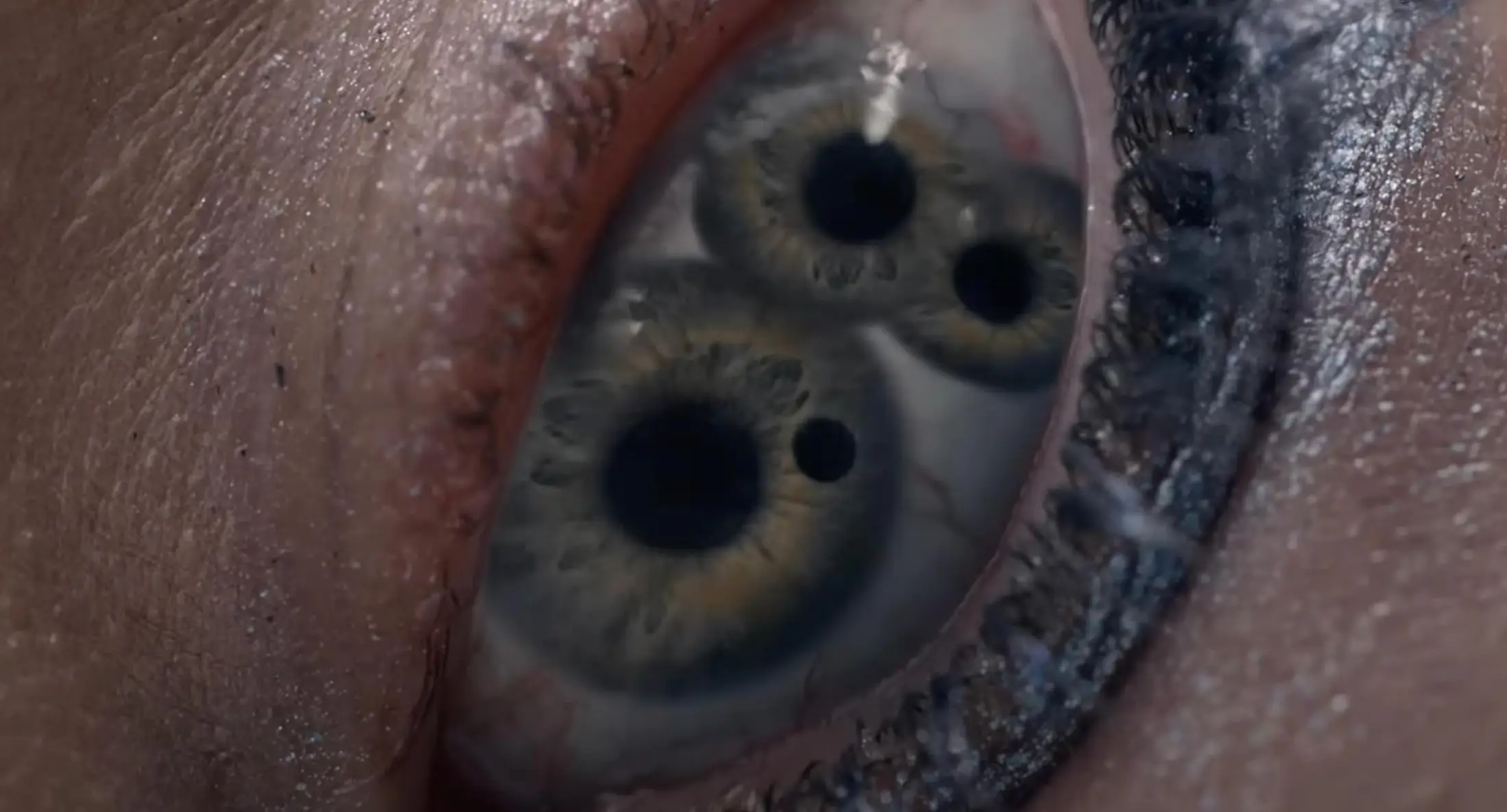 The film has been a hit with fans and has received critical acclaim (Mubi)