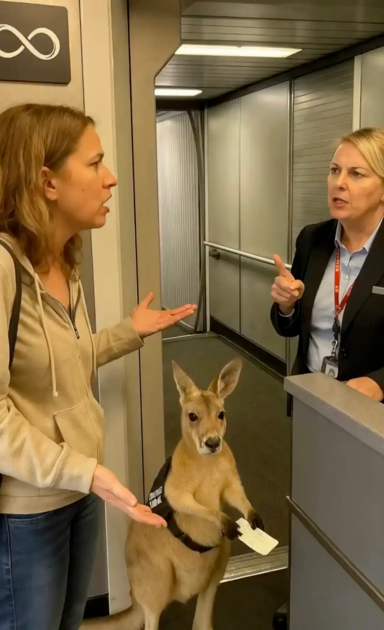 The short clip appears to show a woman arguing with an airline employee about the animal getting onto the plane (Instagram/@infiniteunreality)