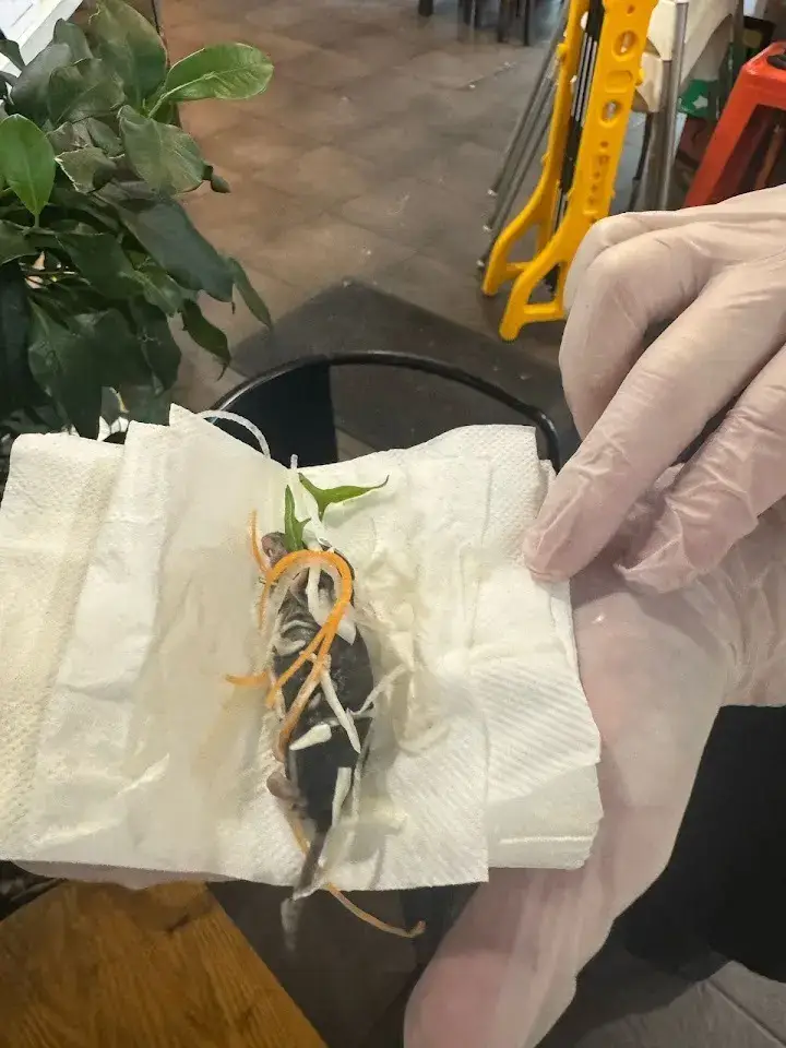 (Daniel Kim / Google Reviews)