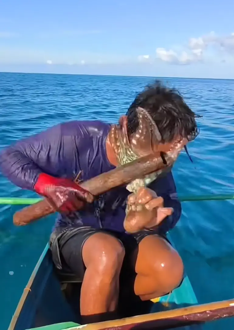 He batted the octopus as it clutched onto his face (ViralPress/Kuys_jess)