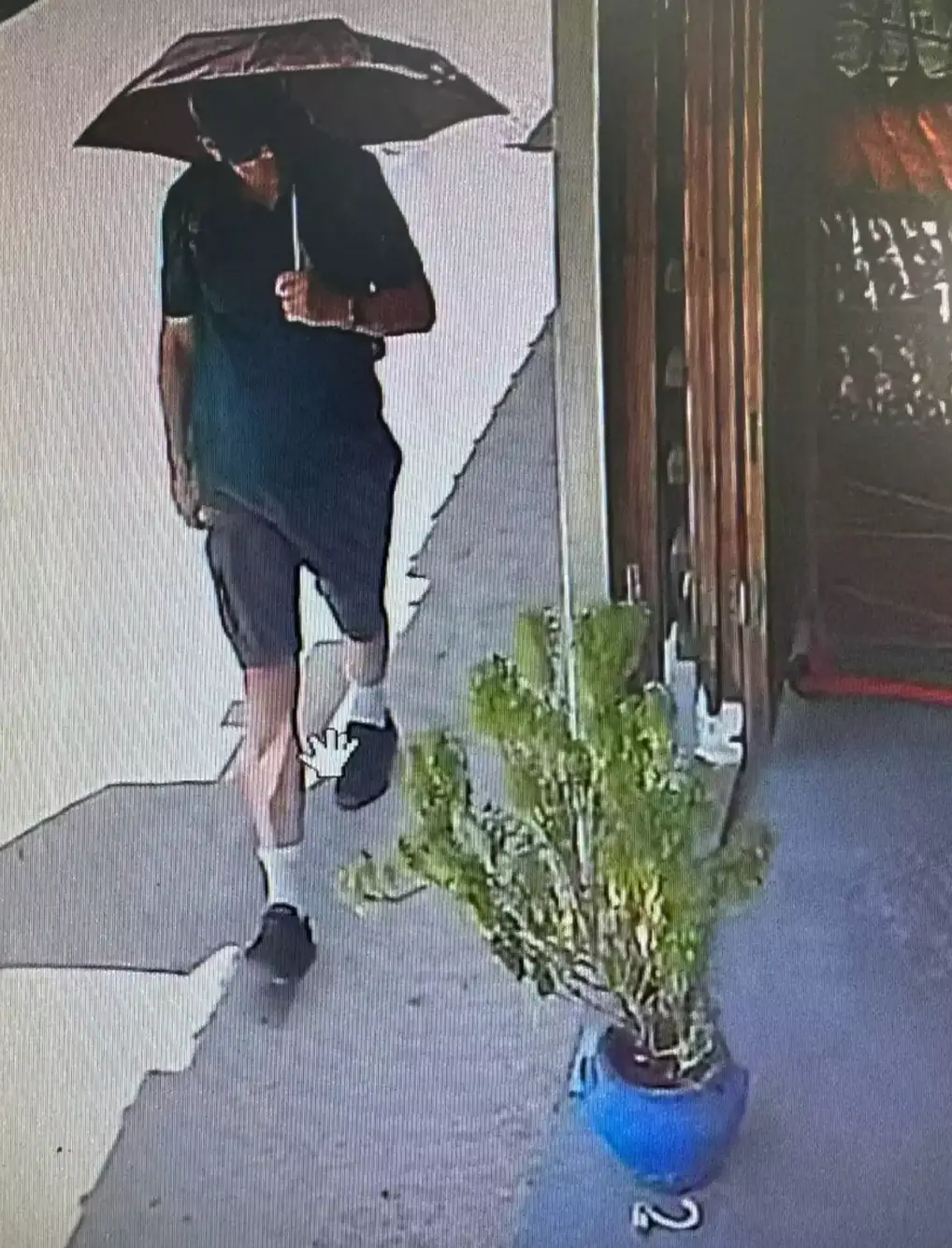 The TV doctor was seen on CCTV a couple of times, with new footage revealing a fall. (Police Handout)