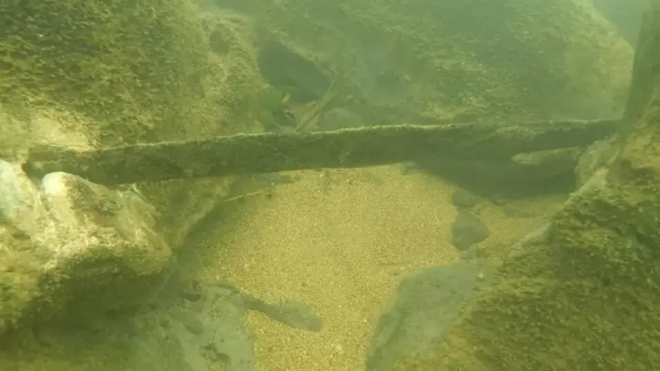 It's pretty bizarre (Central European News)