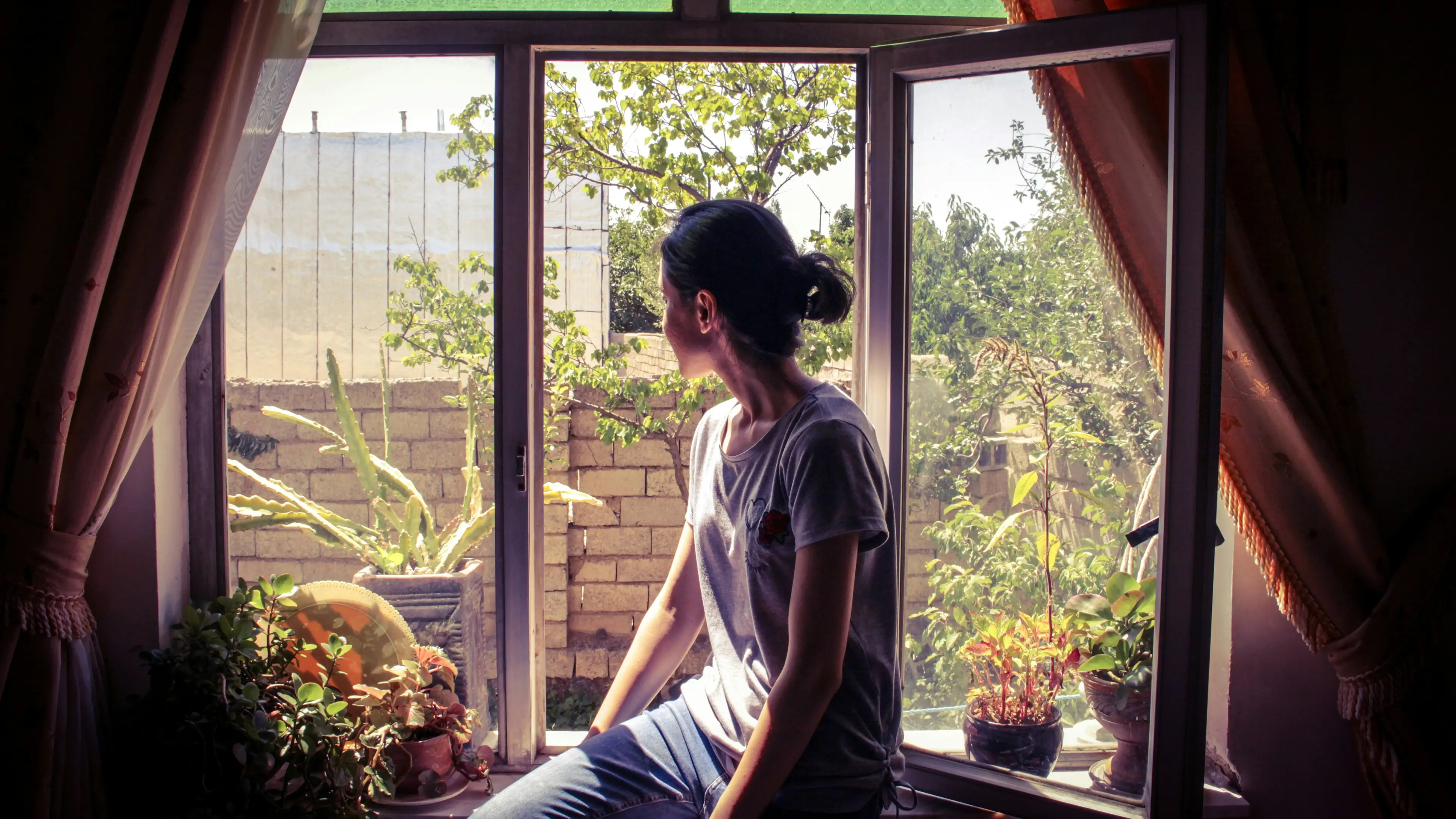 Niloufar Nemati/Unsplash