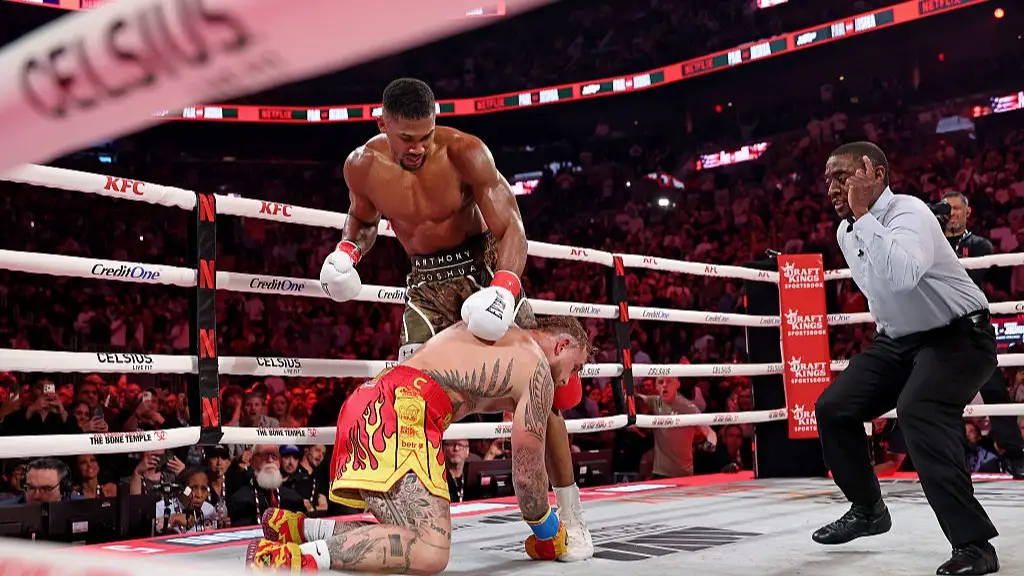 Ed Mulholland/Getty Images for Netflix