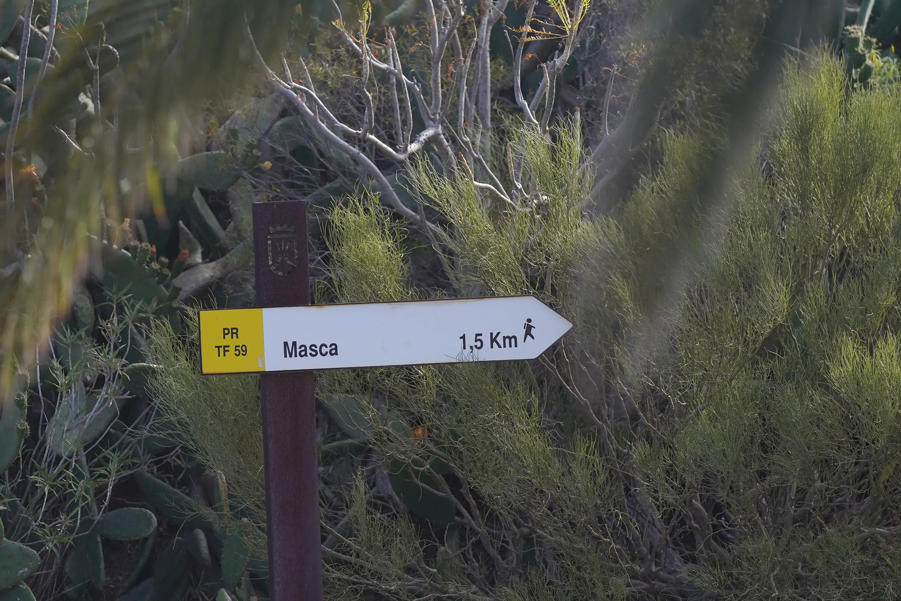 Jay Slater's body was found near the village of Masca and it had undergone 'extensive mummification' due to the heat (Europa Press Canarias via Getty Images)