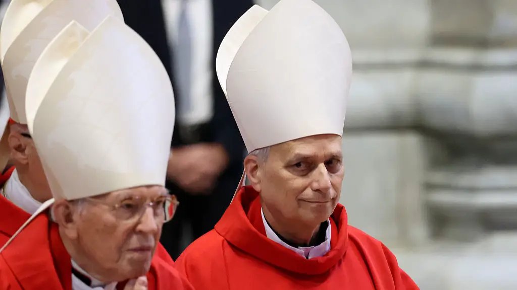 Cardinal Robert Prevost - Pope Leo XIIV (Franco Origlia/Getty Images)