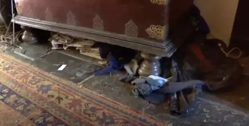 They appeared on Obsessive Compulsive Cleaners.