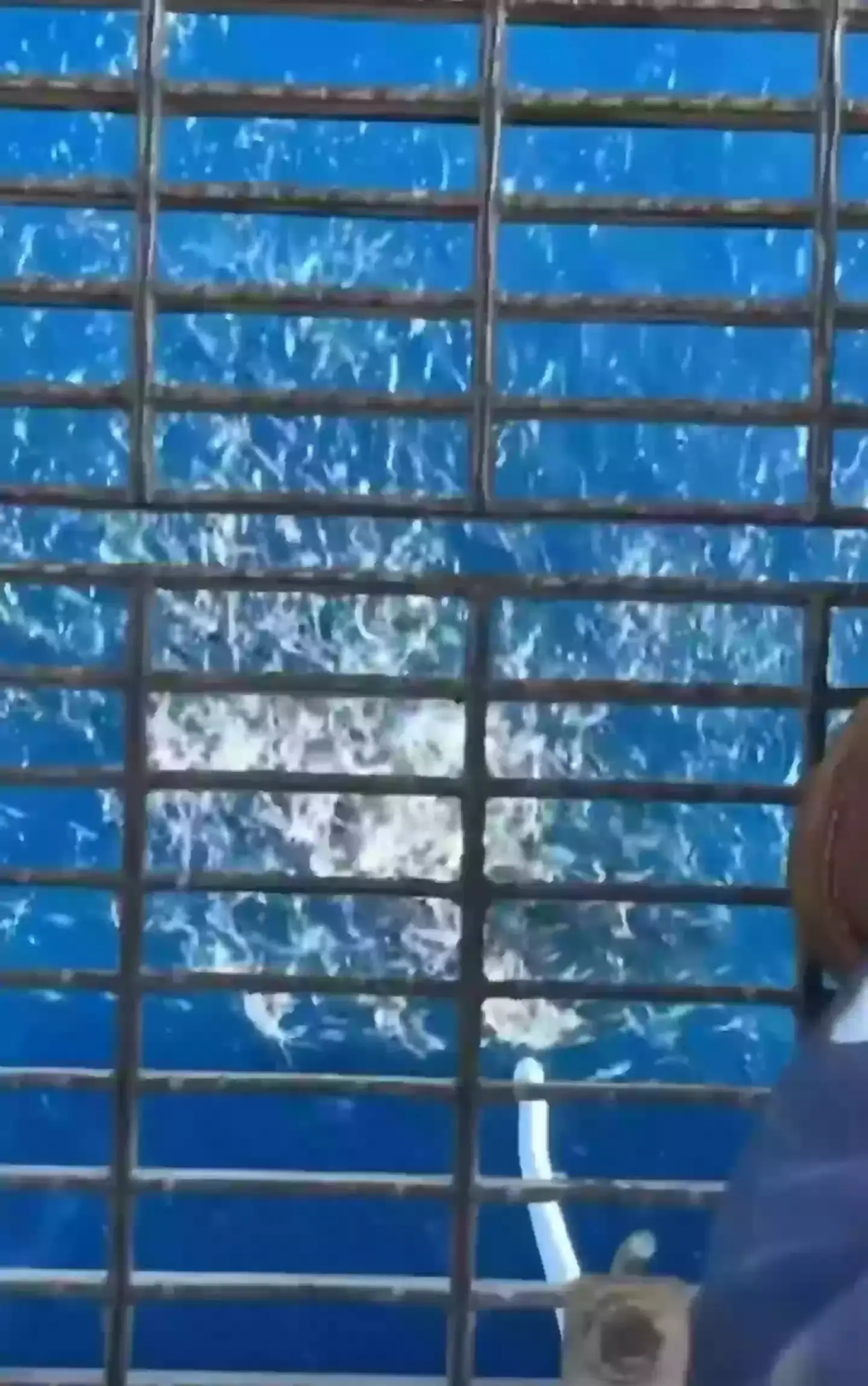 Fancy a swim? (Reddit)