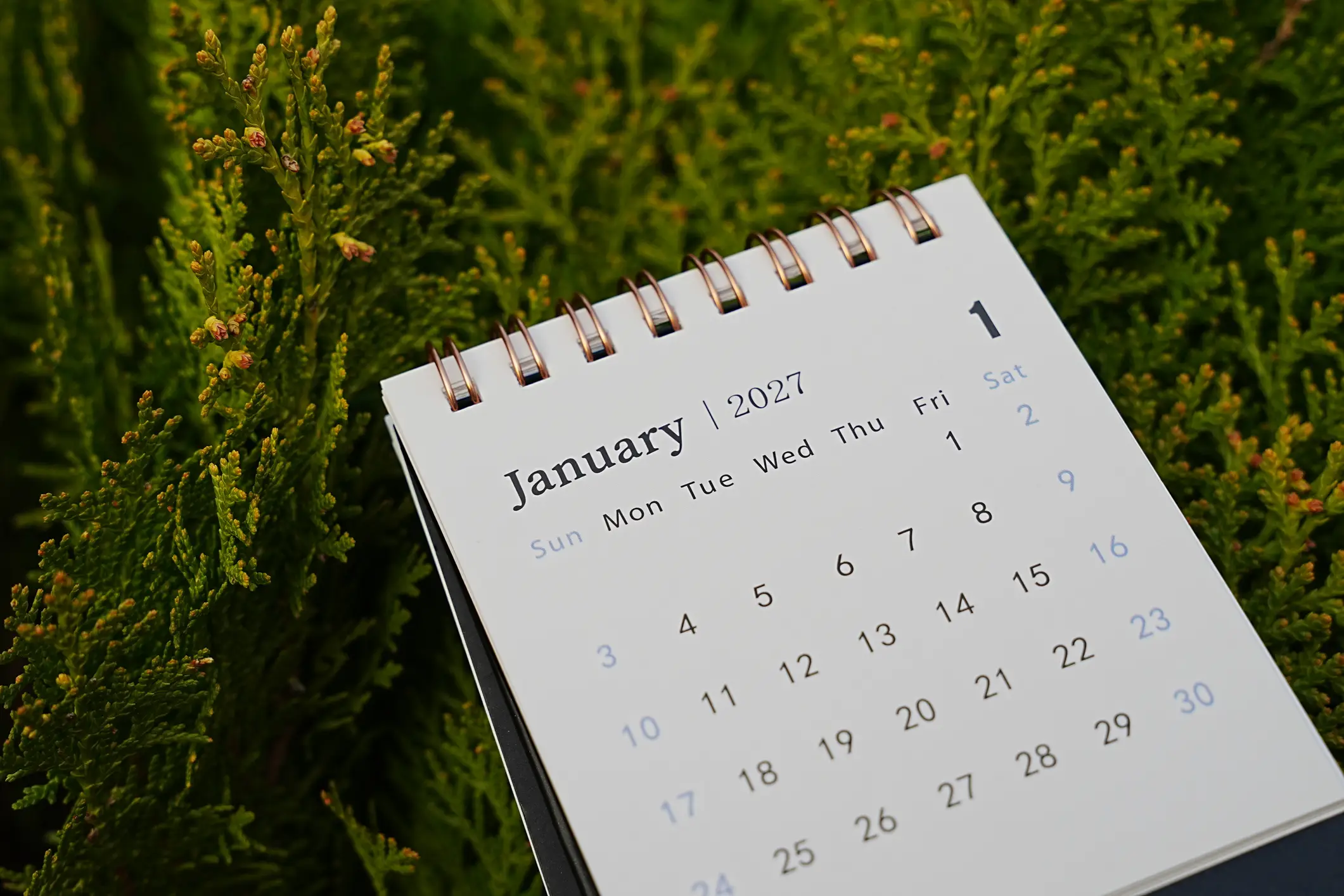 The price cap is expected to skyrocket in January, so fixing now could protect you from that (Getty Stock Photo)