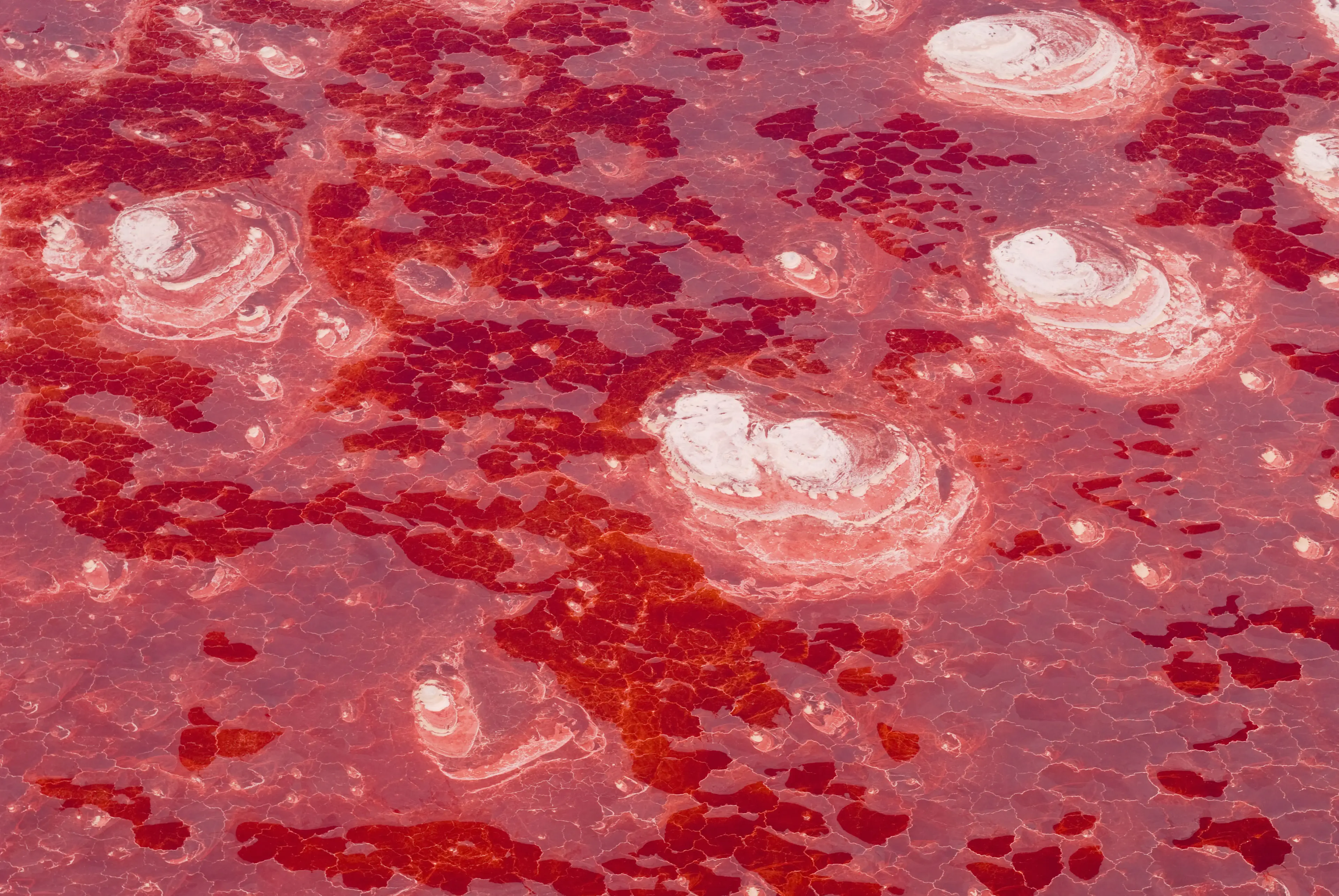 The lake is a terrifying red due to its high temperature.