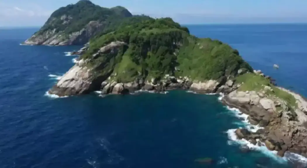 Ilha da Queimada Grande, also known as Snake Island, is located in Brazil (9 News)