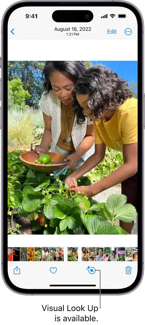 Apple's Visual Look Up can make your life a lot easier (Apple)