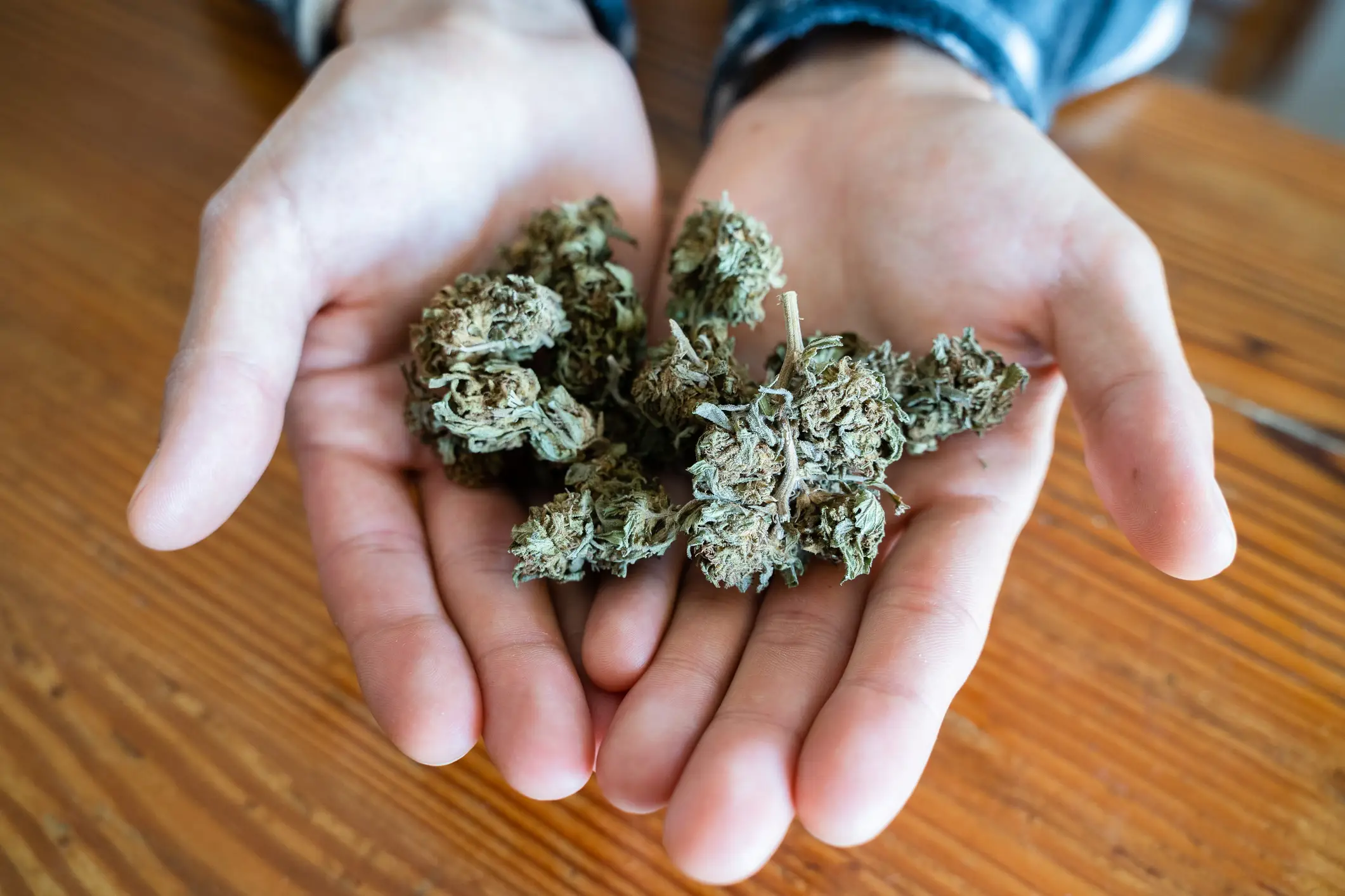 While it is widely believed that cannabis can cause cognitive decline, numerous studies say otherwise (Getty Stock Image)