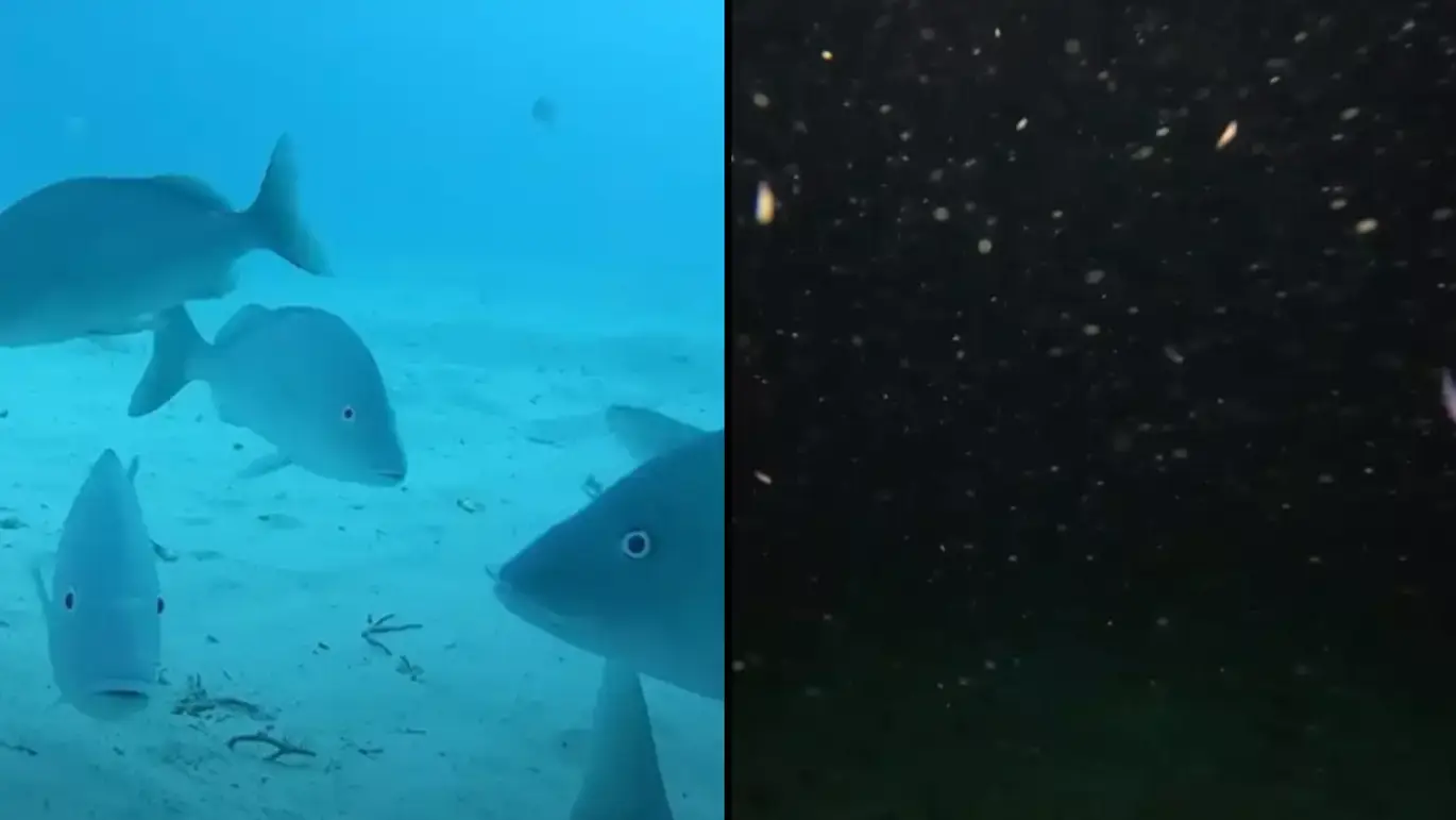 YouTube/Odysseas Froilan