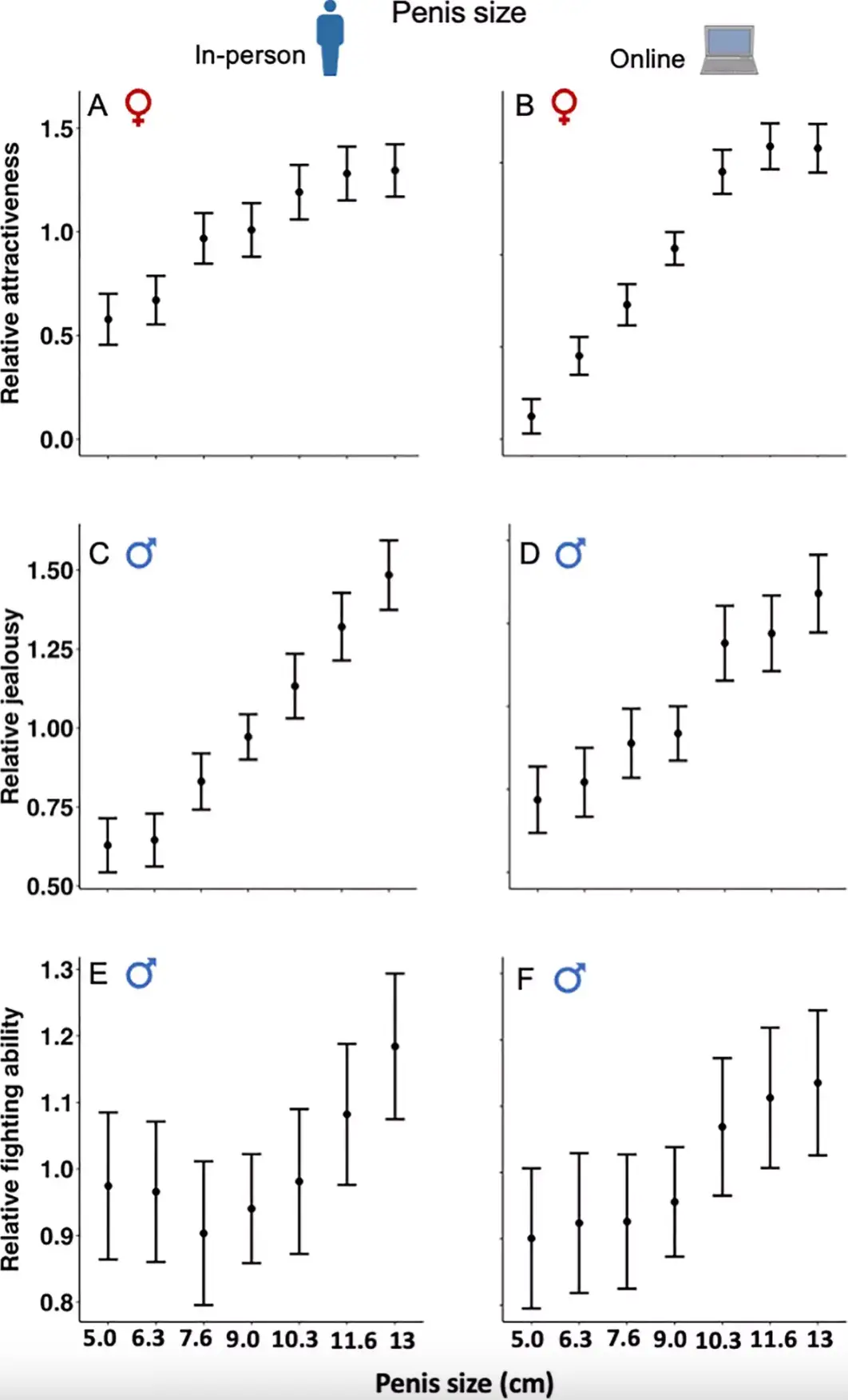 Attractiveness increased in correlation with penis size (Aich U, Tan C, Bathgate R, Blake KR, Capp RCS, Kuek JC, et al.)