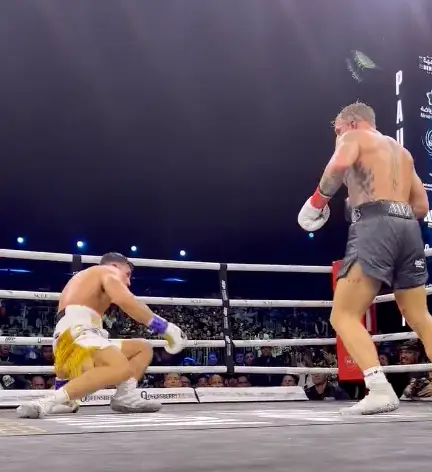 The new footage has led to most boxing fans resolving Fury's fall was definitely the result of a knock down.