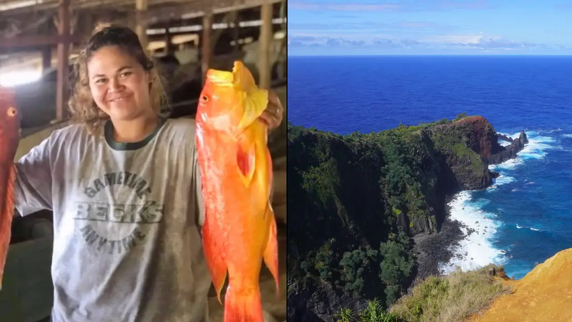 tiktokt/torikaw Getty Stock