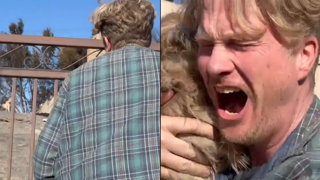 Pet owner returns to his home after LA wildfires and is left in tears at what he discovers