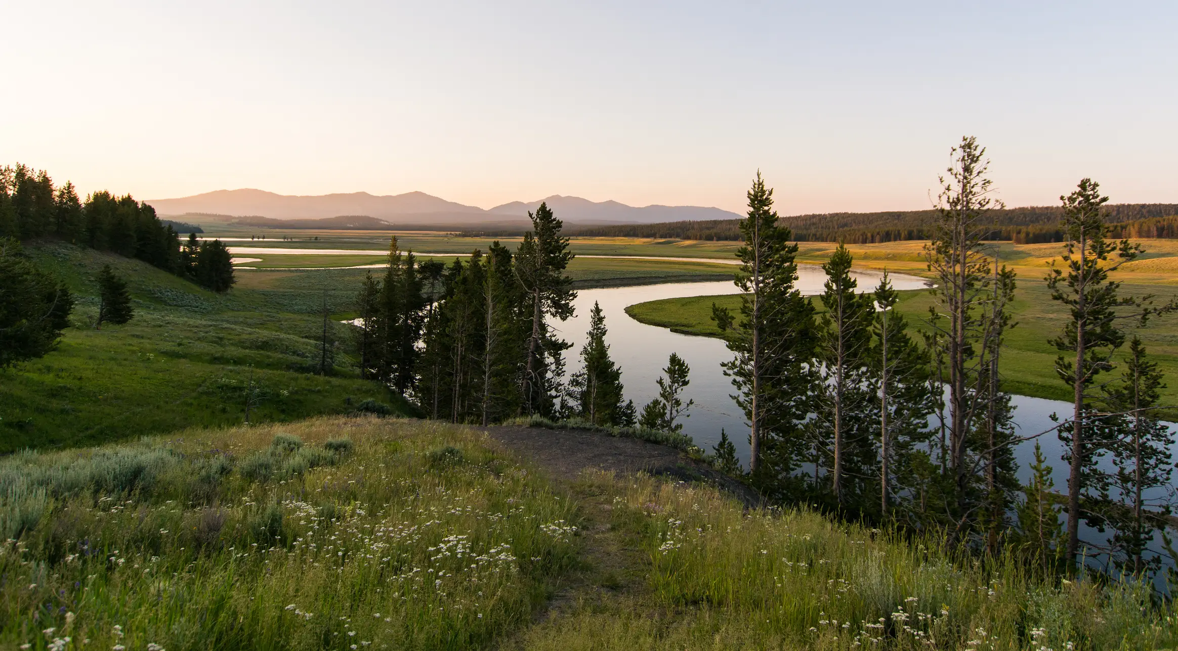 The 'zone of death' is not hard to access either (Getty Stock Photo)