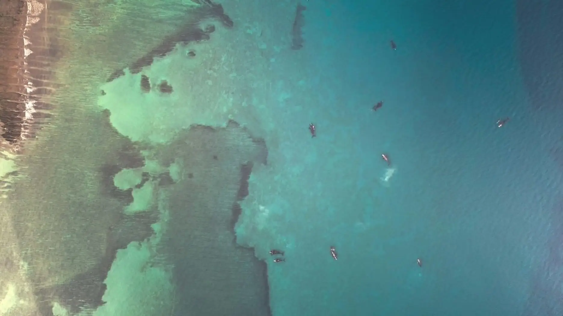 The new eight-part series is released later this month.