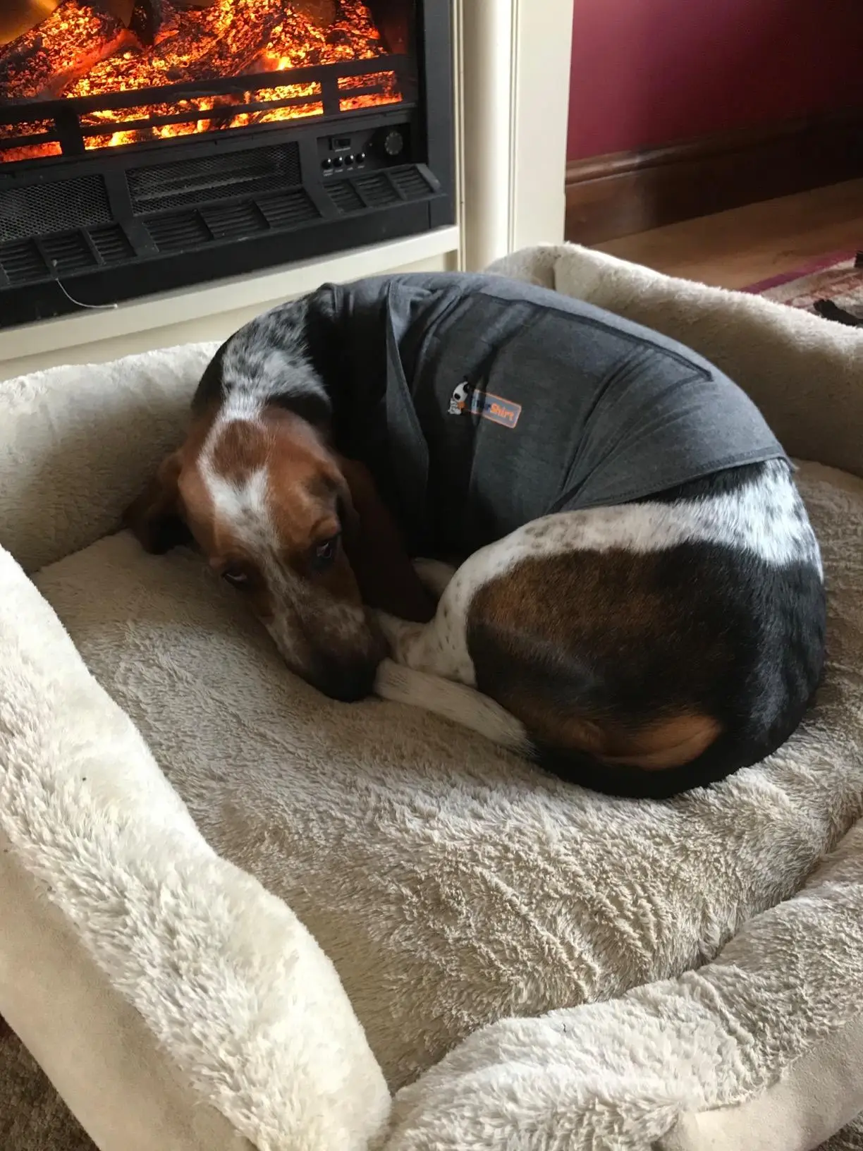 The anti-anxiety gadget in action (Amazon reviews)