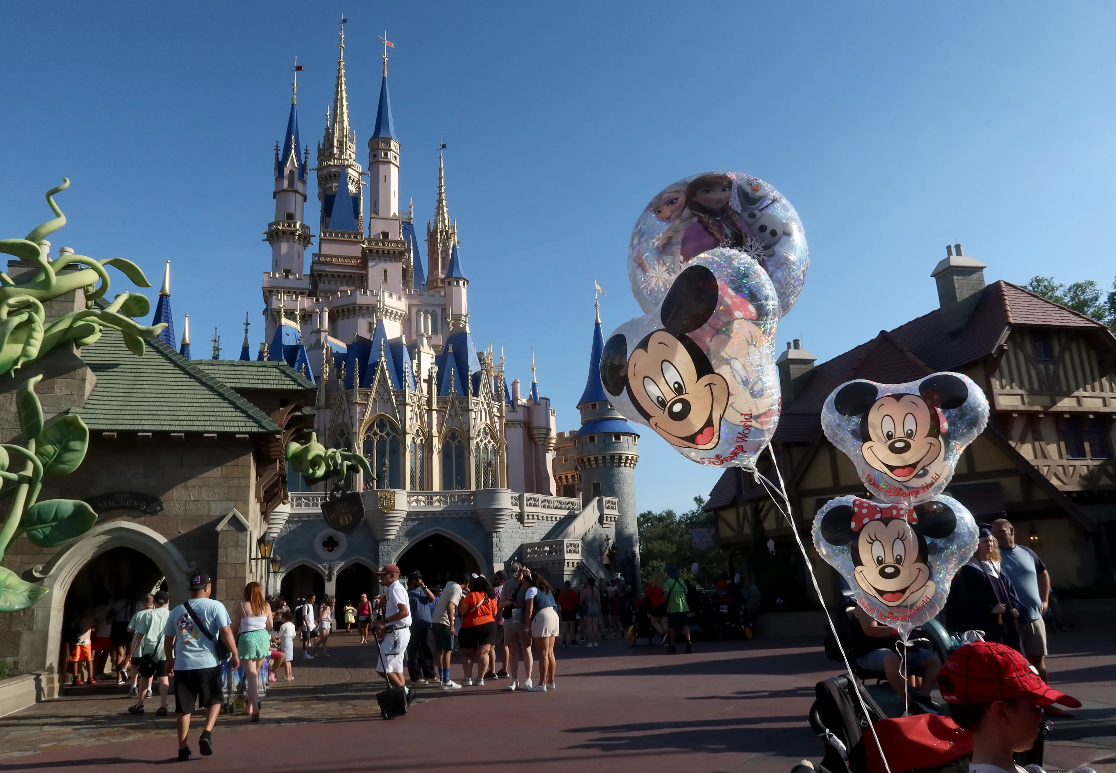 Disney are seeking to dismiss the wrongful death lawsuit due to the widower signing up to Disney+ (Gary Hershorn/Getty Images)