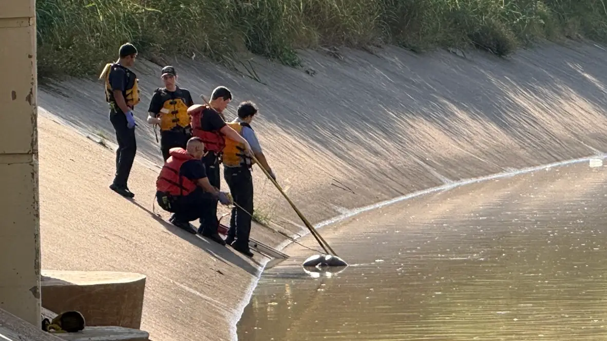 (Jill Karnicki/Houston Chronicle via Getty Images)