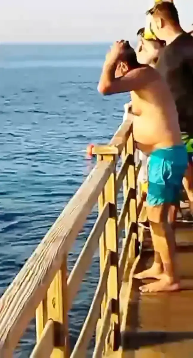 Beach-goers were seen watching the events unfold in horror. Onlookers watched on in horror.