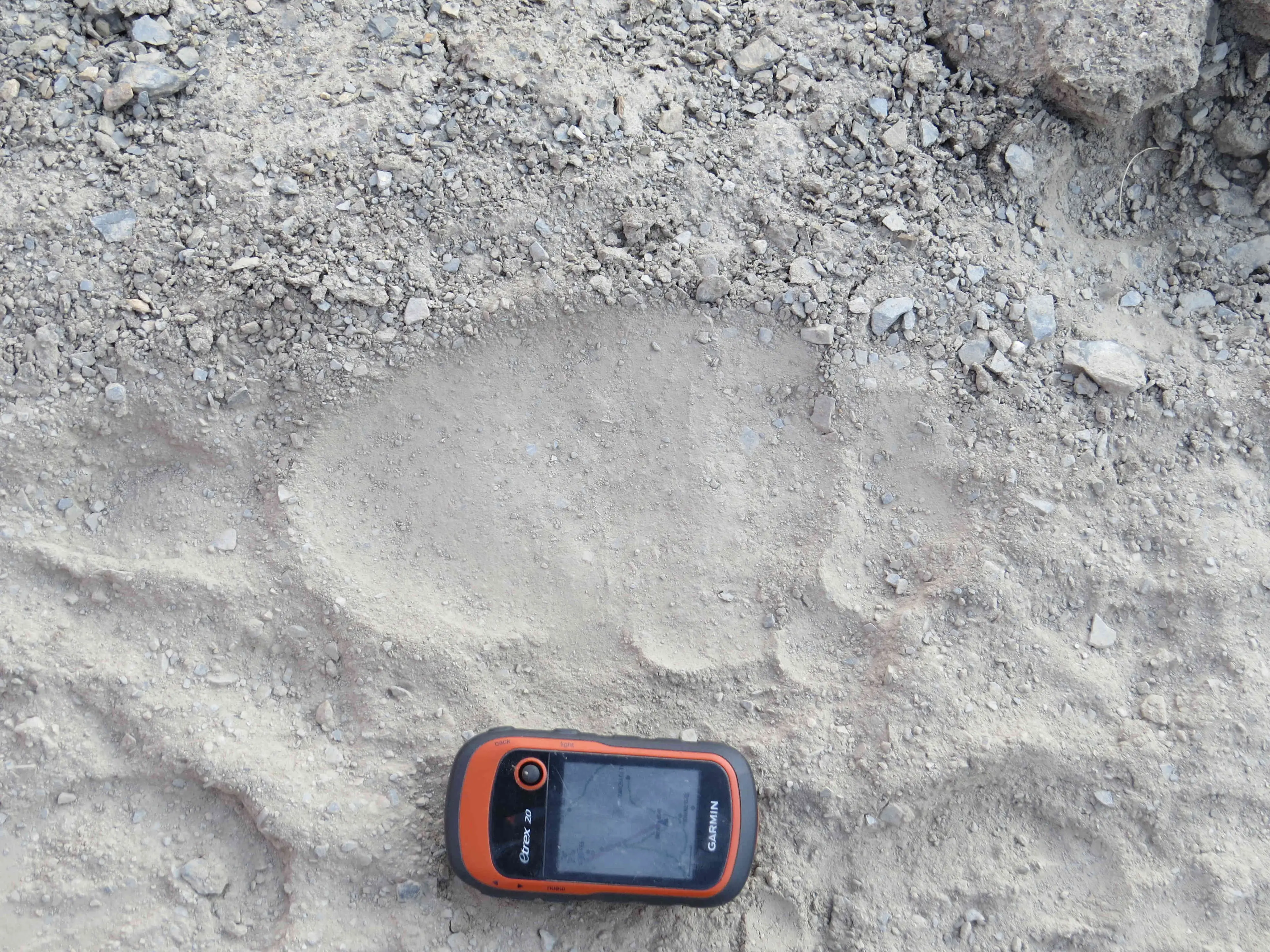 A footprint left by a large animal in Nepal.