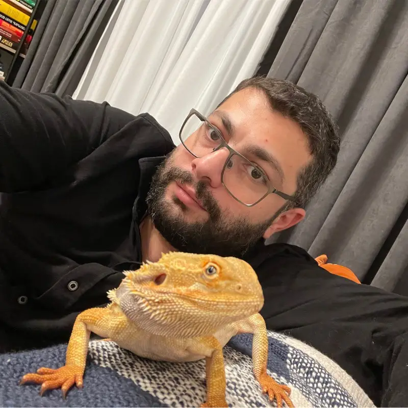 Giorgi Gobronidze is the current owner of PimEyes (LinkedIn)